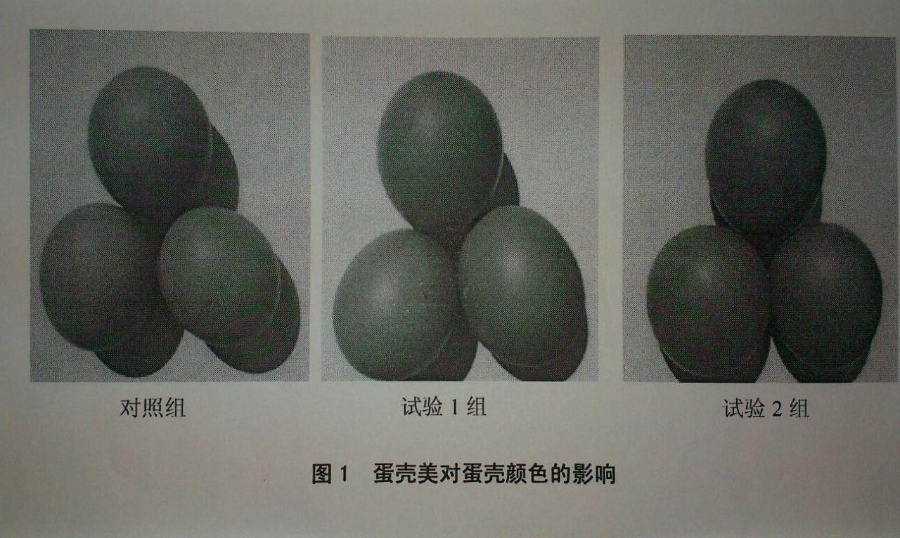 尊龙人生就是博d88 - App Store