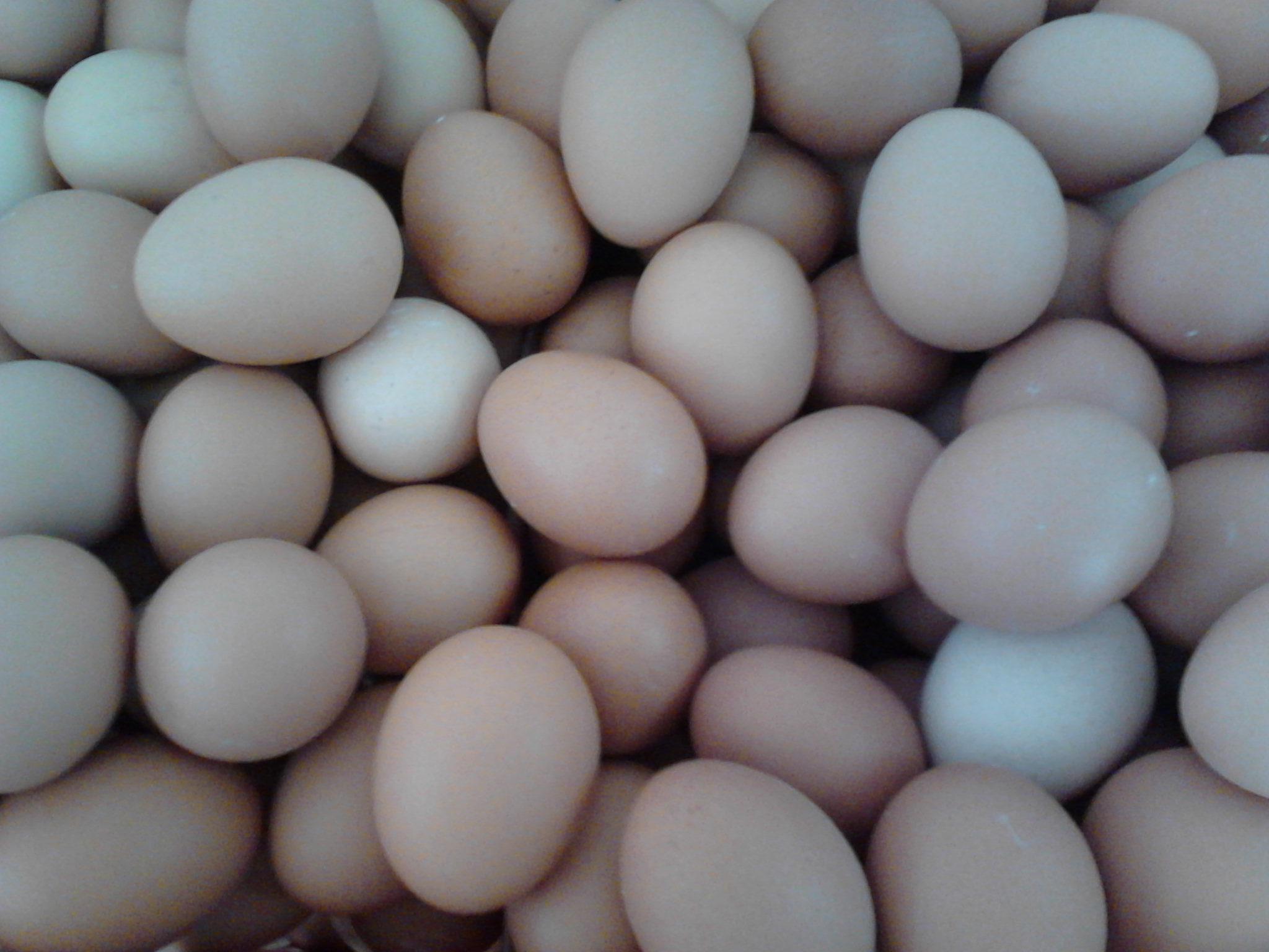 尊龙人生就是博d88 - App Store