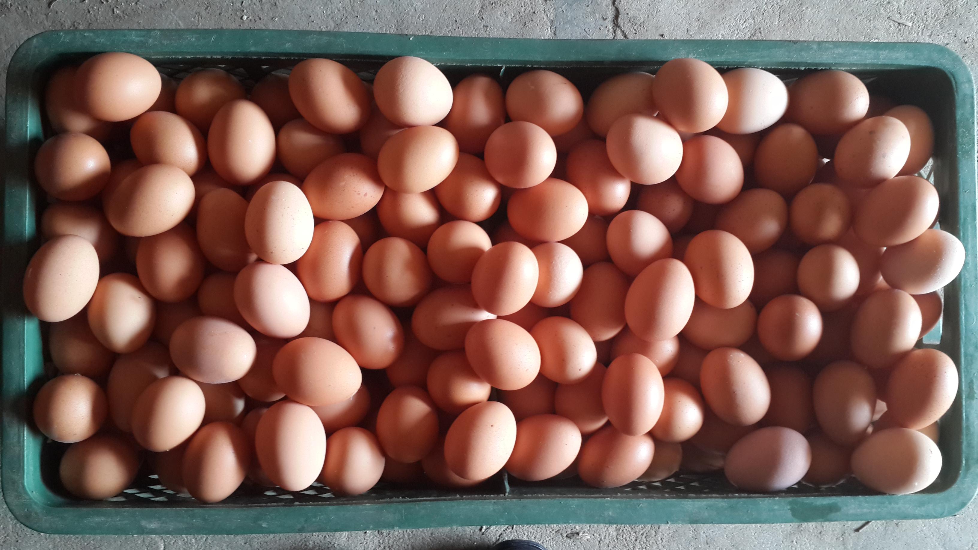 尊龙人生就是博d88 - App Store