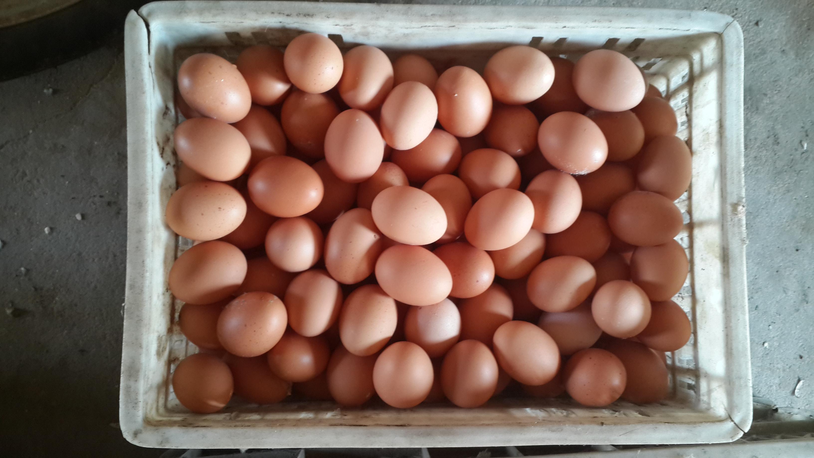 尊龙人生就是博d88 - App Store